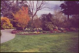 Trees and flower beds in front of lawn and path at Terrace Gardens, Government House, Victoria, BC