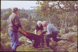 Iona Campagnolo lifting rock with unidentified man into wheelbarrow pushed by unidentified woman in Terrace Gardens