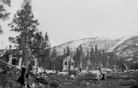 Manager's Photos - Buildings in Trees