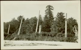 Totem poles at unknown beach on Queen Charlotte Islands, BC