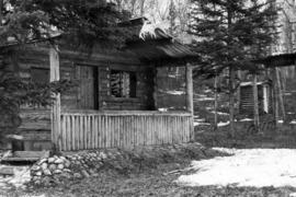 Log cabin in woods