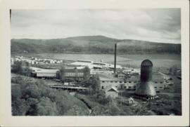 Overview of Eagle Lake Sawmill