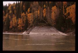 Fraser River - Small Island