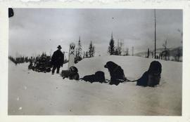 Man and dogsled team resting at a marker point