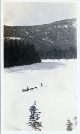 Two men walking by a dog sled team