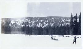 Two men walking along with a dog sled team