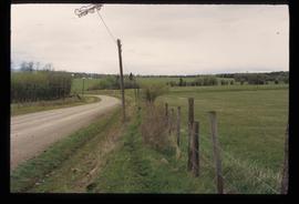 Near Grassy Plains - Road and Field