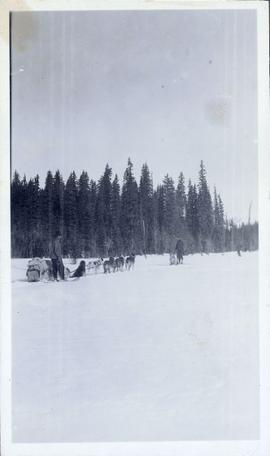 Dogsled team with musher alongside and another man and dog nearby