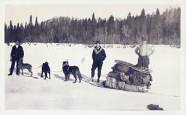Three men standing behind a dog sled team