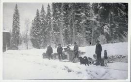 Several men with sleds and dogs