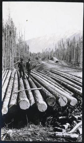 Two men standing on top of a pile of several logs
