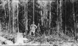 Two men standing with axes in a forest
