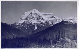 Landscape shot - A burned part of the forest in the foreground, with a towering mountain in the background