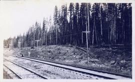 Handcar on railroad tracks with man and powerline beside