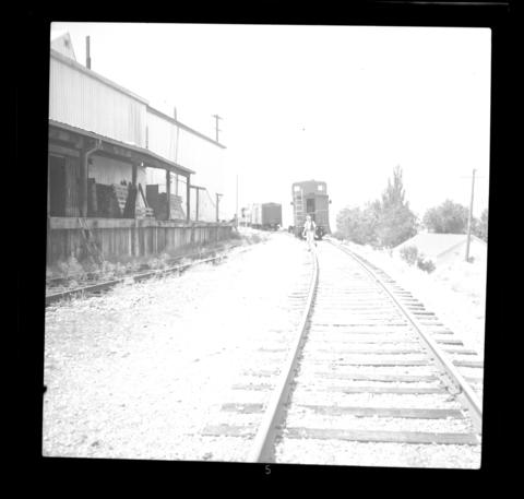 Open original Digital object