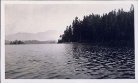 Landscape shot - A body of water in the foreground, trees in the midground and a mountain in the background