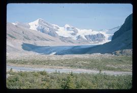 Mt. Robson Provincial Park - Glacier
