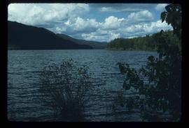 Takla Lake - West of Leo Creek