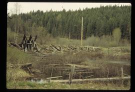 Quesnelle Forks? - Collapsed Wooden Structure