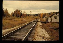 Sinclair Mills Railway Tracks