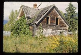 Abandoned Cabin with Ivy
