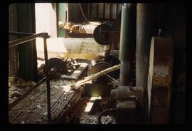 Sawmill Machinery - Stripped Log