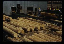 Sawmill - People and Logs