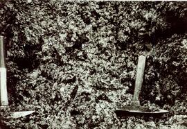 Detail View of Talus, Test Pit