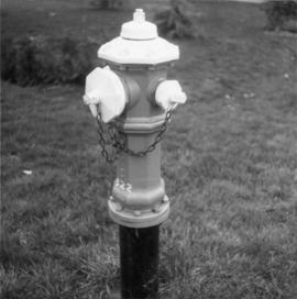 Fire hydrant in Saanich