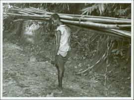 Bangladesh : Man carrying bamboo