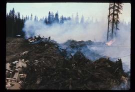 Reforestation - Willow Canyon Nursery - Burning debris