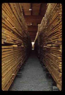 Prince George (P.G.) Sawmill - General - Dried lumber