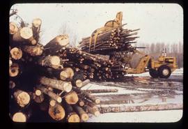 Prince George (P.G.) Sawmill - General - Letourneau unloading from deck into sawmill