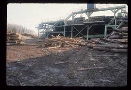 Prince George (P.G.) Sawmill - General - Reject logs for chipper