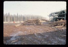 Prince George (P.G.) Sawmill - General - Oversize logs for Shelley mill
