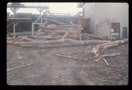 Prince George (P.G.) Sawmill - General - Reject log pile