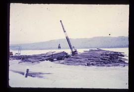 Shelley Sawmill - General - Taking logs from river