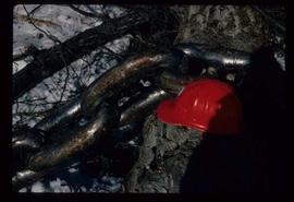 Woods Division - Lake Operations - 3" Three inch anchor chain