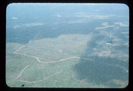 Woods Division - Patch Logging - Aerial view showing contrast between clearcut patch and burn with strip logging on CP 24