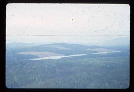 Woods Division - Patch Logging - Aerial view of Betty Lake, summer of 71