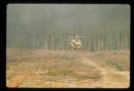 Woods Division - Fire - Helicopter hovering over logged area ready for burning