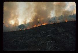 Woods Division - Fire - Fire on hillside at dusk