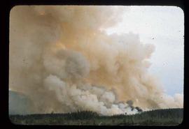 Woods Division - Fire - Slash burn smoke from CP 207
