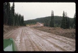 Woods Division - Roads - Nose Bay Road (Houston) near two lakes (FBCPE #26)