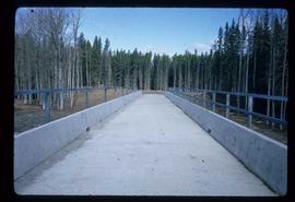 Woods Division - Bridges - North Road overpass