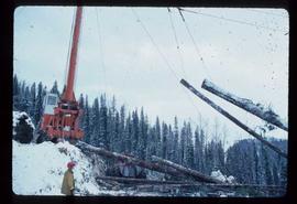 Woods Division - High Lead Logging - Crane lifting logs