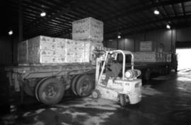 Workplace Album - Forklift Loading Asbestos