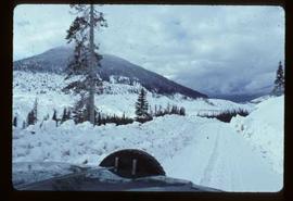 Woods Division - High Lead Logging - View of road in winter
