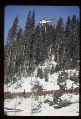 Woods Division - Helicopter Logging - Bowron area helicopter logging trial run