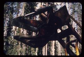 Woods Division - Mechanical Falling - Shear